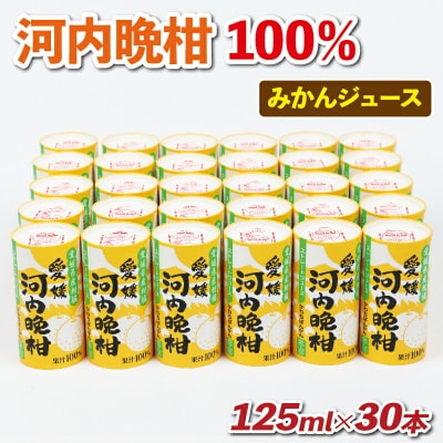 宇和島みかん 河内晩柑ジュース 125ml 30本入 愛工房 H020-034004