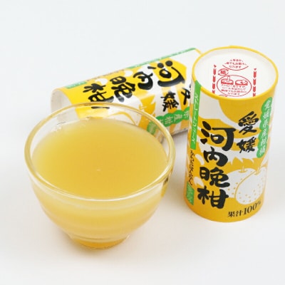 宇和島みかん 河内晩柑ジュース 125ml 30本入 愛工房 H020-034004