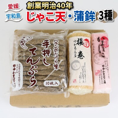 じゃこ天・蒲鉾3種 野中かまぼこ店 C015-014002