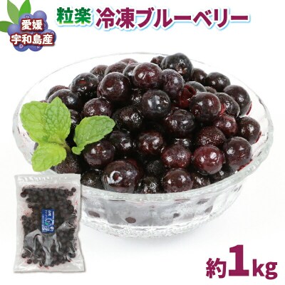 粒楽 冷凍 ブルーベリー 500g 2袋 計1kg  南四国ファーム J013-035014