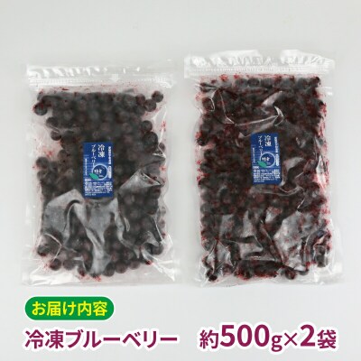 粒楽 冷凍 ブルーベリー 500g 2袋 計1kg  南四国ファーム J013-035014