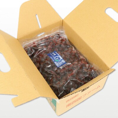 粒楽 冷凍 ブルーベリー 500g 2袋 計1kg  南四国ファーム J013-035014
