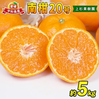 南柑20号 5kg 上杉果樹園 B010-056004