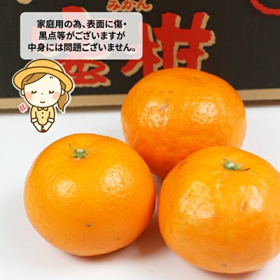 はれひめ 4kg ワールドファーマーズ B012-024005