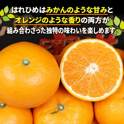 はれひめ 4kg ワールドファーマーズ B012-024005