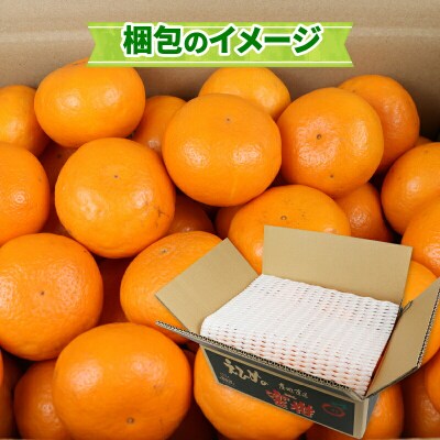 はれひめ 4kg ワールドファーマーズ B012-024005