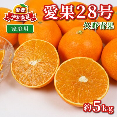 先行予約 家庭用 愛果28号 ( 紅まどんなと同品種) 5kg 矢野青果 B014-171003