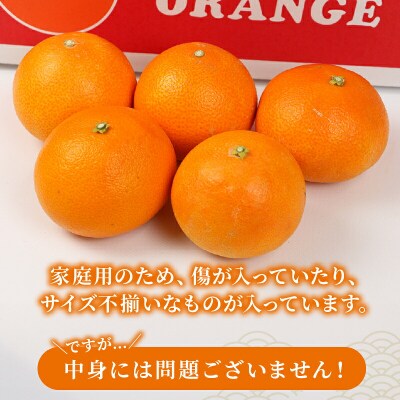 先行予約 家庭用 愛果28号 ( 紅まどんなと同品種) 5kg 矢野青果 B014-171003