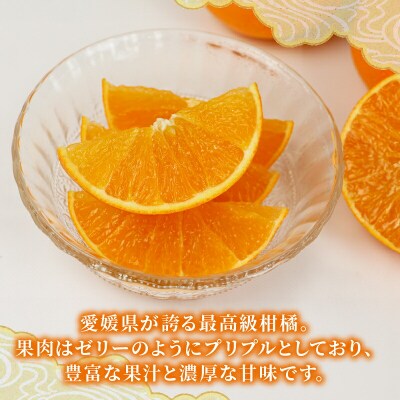 先行予約 家庭用 愛果28号 ( 紅まどんなと同品種) 5kg 矢野青果 B014-171003