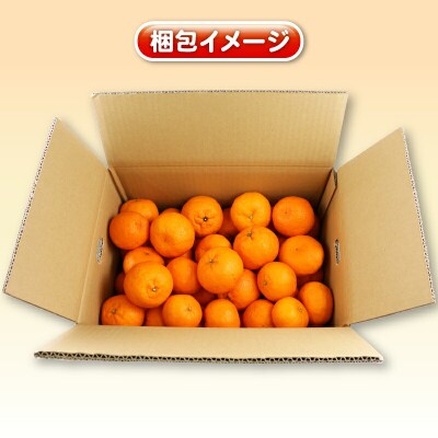 訳あり ポンカン 5kg 杉本屋 B010-143005