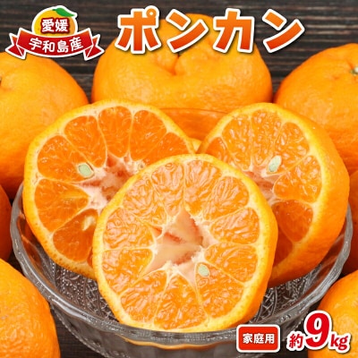 ポンカン 9kg 家庭用 兵頭農園 愛媛 みかん ぽんかん B015-055003