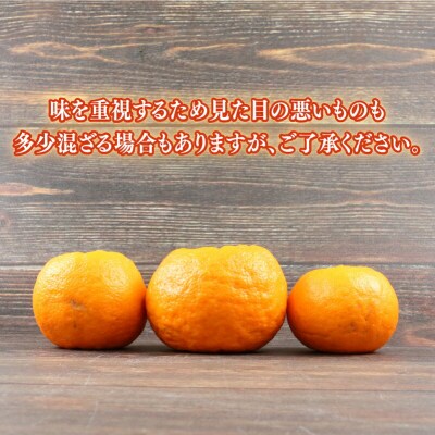 ポンカン 9kg 家庭用 兵頭農園 愛媛 みかん ぽんかん B015-055003