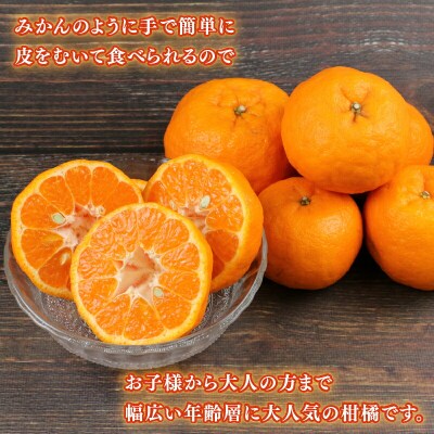 ポンカン 9kg 家庭用 兵頭農園 愛媛 みかん ぽんかん B015-055003