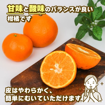 訳あり いよかん 8kg 玉津柑橘倶楽部 B010-072032
