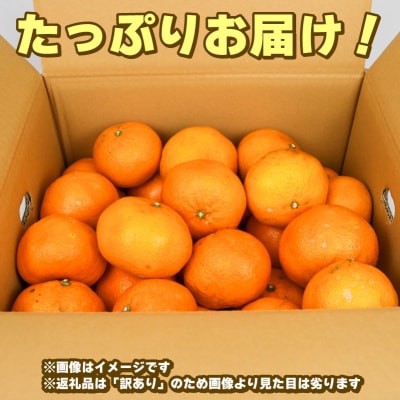 訳あり いよかん 8kg 玉津柑橘倶楽部 B010-072032