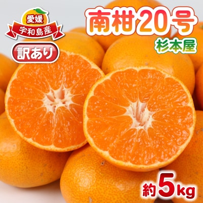 先行予約 訳あり 南柑20号 5kg 杉本屋 愛媛 みかん B010-143015