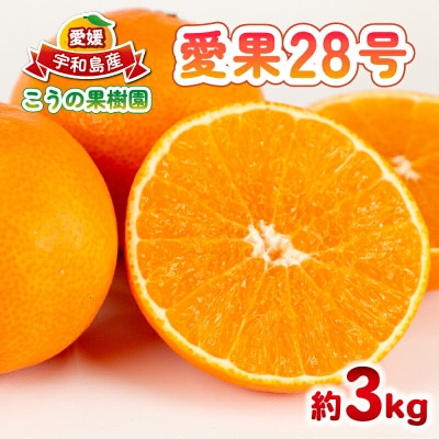 先行予約 愛果28号 ( 紅まどんなと同品種) 約3kg こうの果樹園 B010-182004