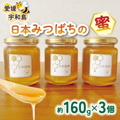 日本みつばちの蜜 160g×3 宇和島農産 非加熱 国産 はちみつ ハチミツ F020-132011