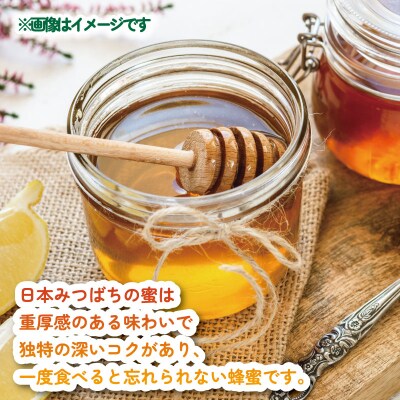 日本みつばちの蜜 160g×3 宇和島農産 非加熱 国産 はちみつ ハチミツ F020-132011