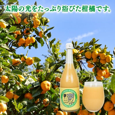 さっぱり柑橘の飲み比べ 5本入 ヨシファーム H014-067003
