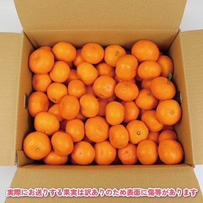 先行予約 訳あり 完熟みかん 杉本屋 早生温州 愛媛 みかん B018-143019