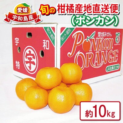 先行予約 ポンカン 10kg JAえひめ南直販センター 愛媛 みかん B020-009003