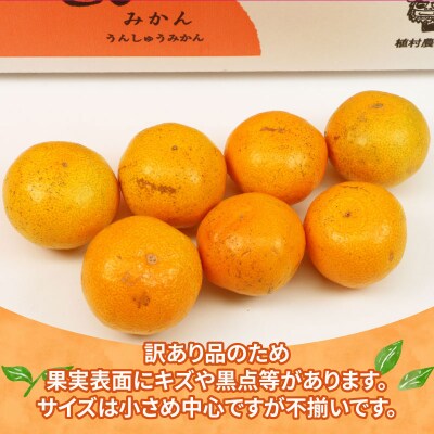 訳あり 小玉みかん 温州 9kg 植村農園 B010-153010