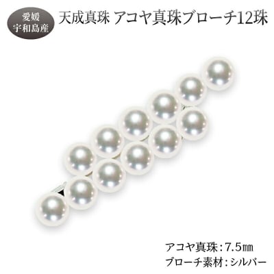 アコヤ 真珠 ブローチ 7.5mm 12珠 天成真珠 パール 本真珠 越し物 A405-114016