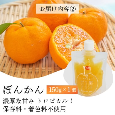宇和島産 果汁 たっぷり ゼリー 150g ×8個 南四国ファーム J010-035012