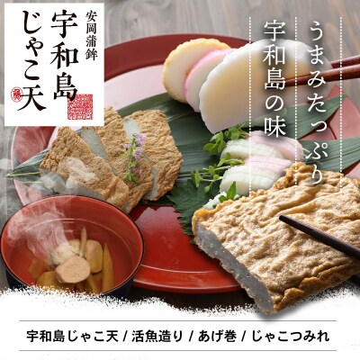 宇和島じゃこ天かまぼこ詰合せB 安岡蒲鉾 C026-020002