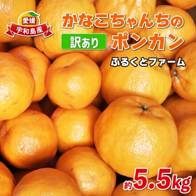 訳あり ポンカン 5.5kg ふるくとファーム 愛媛 みかん ぽんかん B010-037006