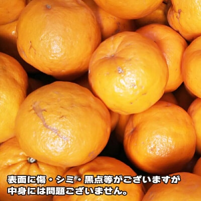 訳あり ポンカン 5.5kg ふるくとファーム 愛媛 みかん ぽんかん B010-037006
