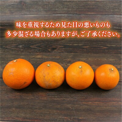 愛果28号 2.5kg 兵頭農園 B010-055002