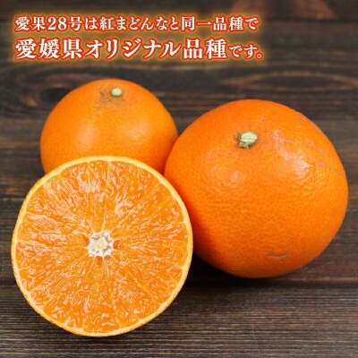 愛果28号 2.5kg 兵頭農園 B010-055002