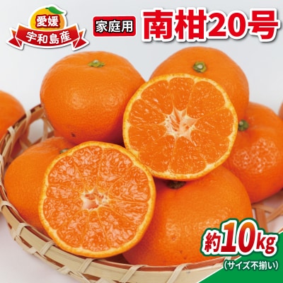 先行予約 10kg 南柑20号 家庭用 ニュービジネスユニット B015-058002