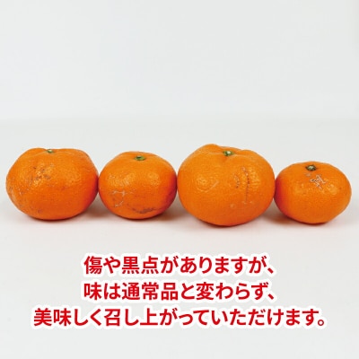先行予約 10kg 南柑20号 家庭用 ニュービジネスユニット B015-058002