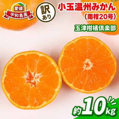 先行予約 訳あり小玉みかん10kg 玉津柑橘倶楽部 愛媛 みかん 南柑20号 B010-072031