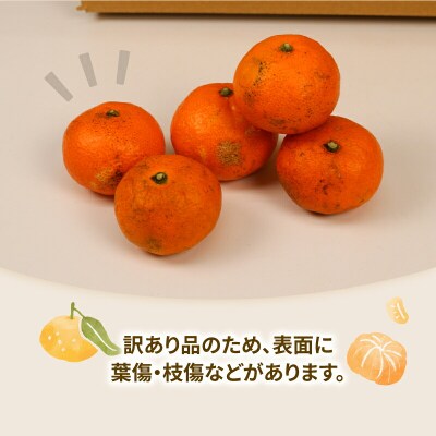 先行予約 訳あり小玉みかん10kg 玉津柑橘倶楽部 愛媛 みかん 南柑20号 B010-072031