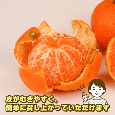 先行予約 訳あり小玉みかん10kg 玉津柑橘倶楽部 愛媛 みかん 南柑20号 B010-072031