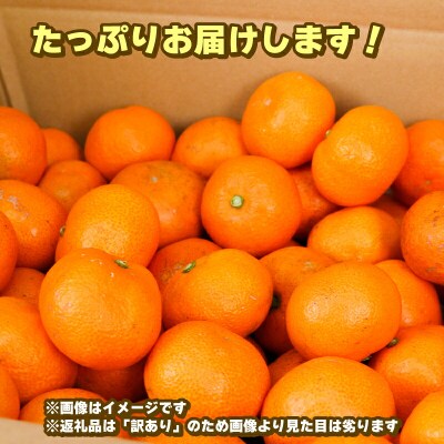 先行予約 訳あり小玉みかん10kg 玉津柑橘倶楽部 愛媛 みかん 南柑20号 B010-072031
