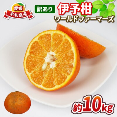 訳あり 愛媛みかん 伊予柑 10kg ワールドファーマーズ B010-024022 