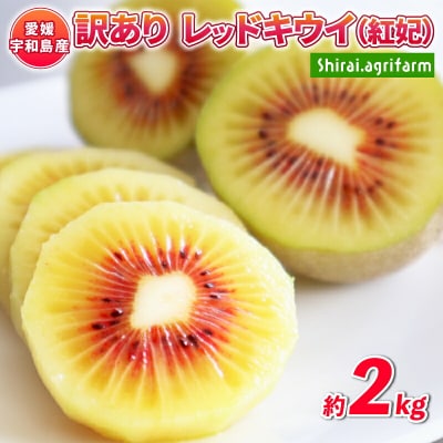 訳あり レッドキウイ 紅妃 2kg Shirai.agrifarm F010-115002 