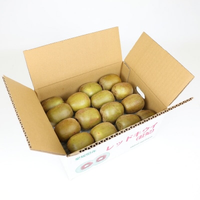 訳あり レッドキウイ 紅妃 2kg Shirai.agrifarm F010-115002 