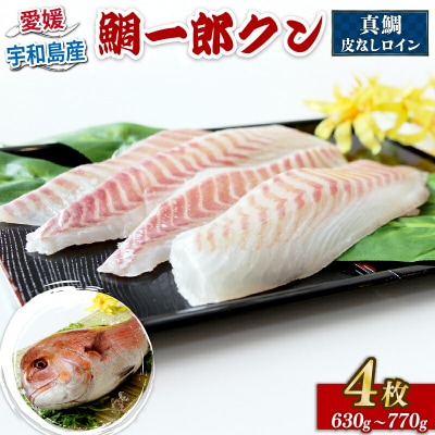 鯛一郎クン 真鯛皮なしロイン 4枚 タイチ D026-195002