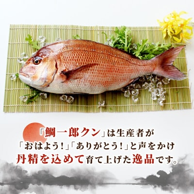 鯛一郎クン 真鯛皮なしロイン 4枚 タイチ D026-195002