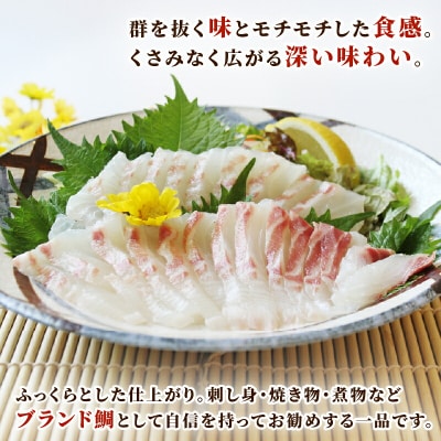 鯛一郎クン 真鯛皮なしロイン 4枚 タイチ D026-195002