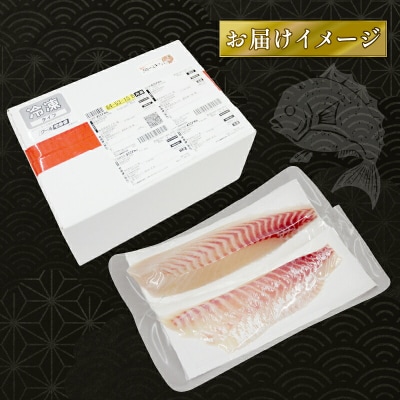 鯛一郎クン 真鯛皮なしロイン 4枚 タイチ D026-195002