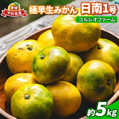 先行予約 極早生みかん 日南1号 5kg コルレオファーム 愛媛 みかん B010-145011
