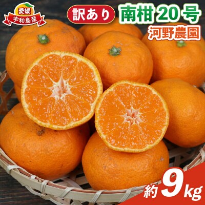 先行予約 訳あり 南柑20号 9kg 河野農園 愛媛 みかん B010-147004