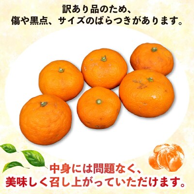 先行予約 訳あり 南柑20号 9kg 河野農園 愛媛 みかん B010-147004